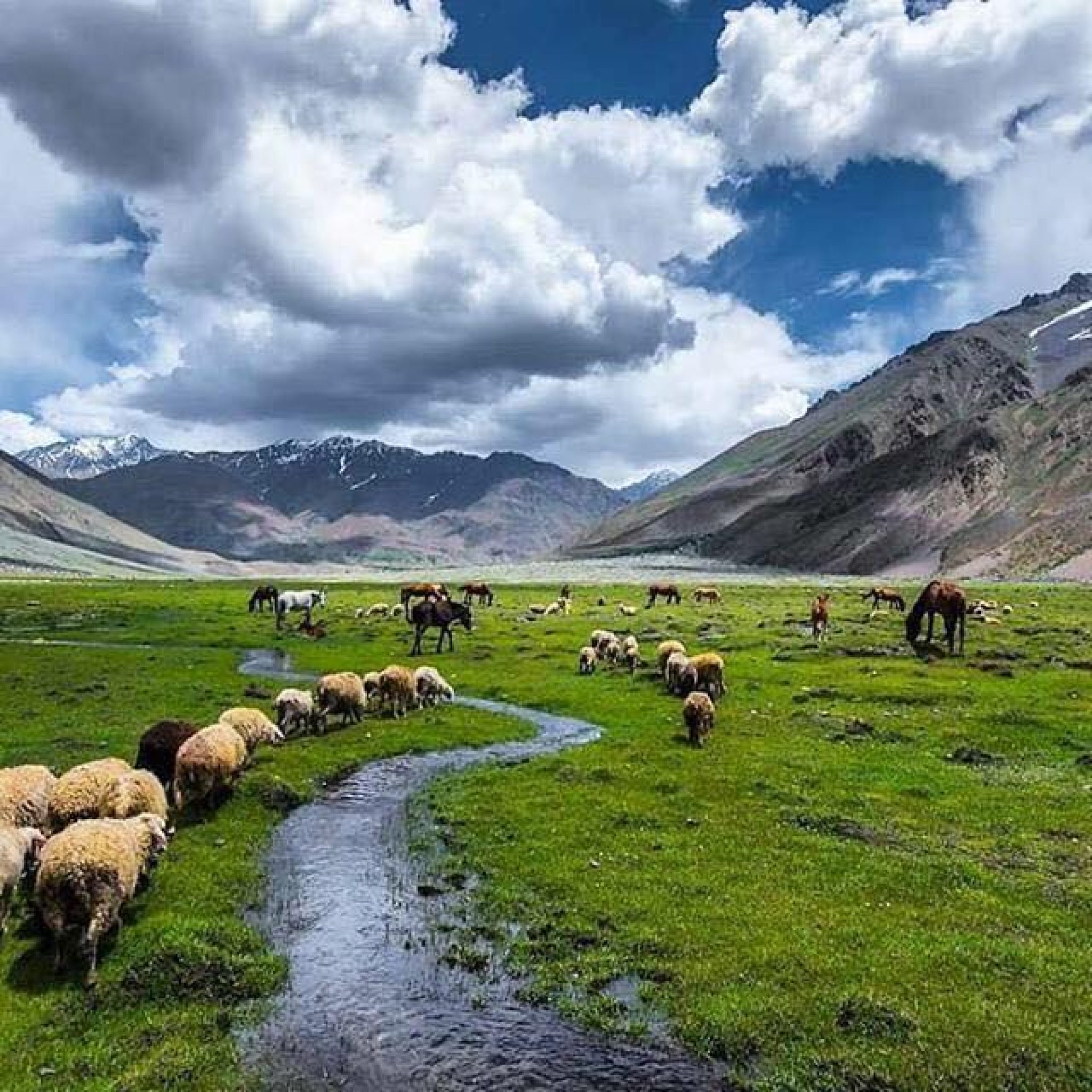 DEOSAI NATIONAL PARK